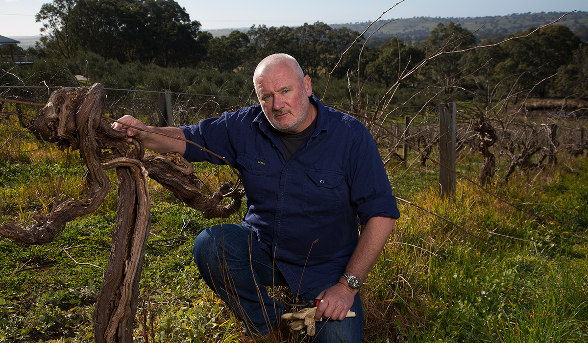 Chris Ringland crouched down with his arm resting on a vine in the vineyard