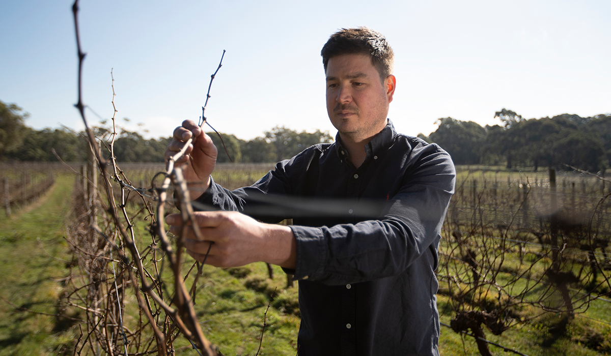 Joshua Cooper of Joshua Cooper Wines