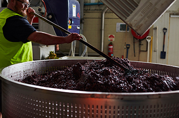 Vintage at Tamar Ridge winery