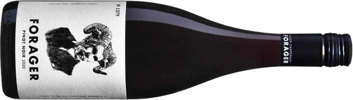 2020 Forager Wine North Canterbury Pinot Noir