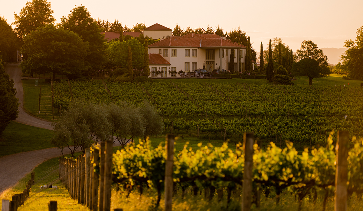 Tokar Estate