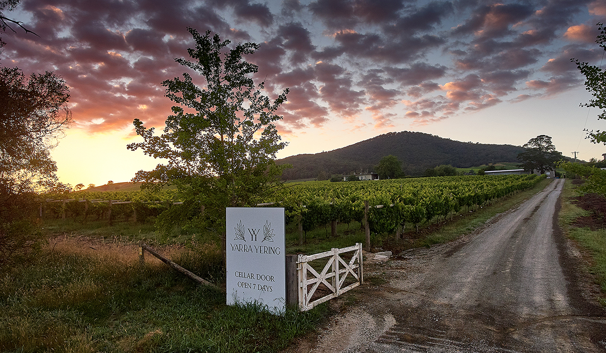 Yarra Yering cellar door entry