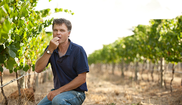 Winemaker Stuart Pym Flowstone