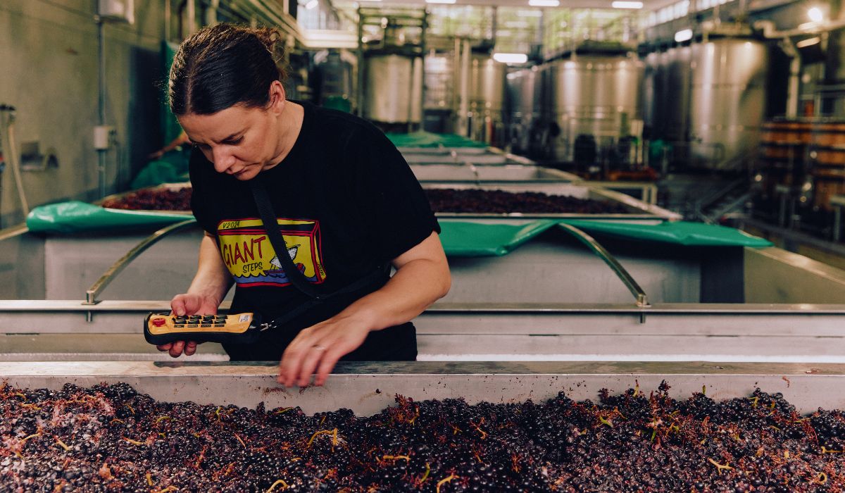 Giant Steps 2024 Single Vineyard range