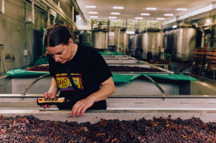 Giant Steps 2024 Single Vineyard range