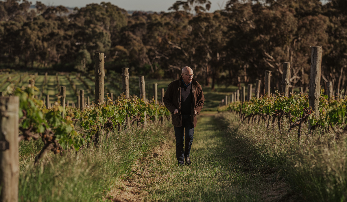 A man walks between vines