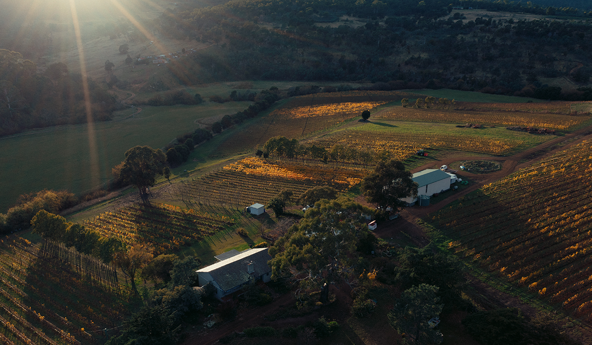 Pooley Estate and Cooinda Vale view