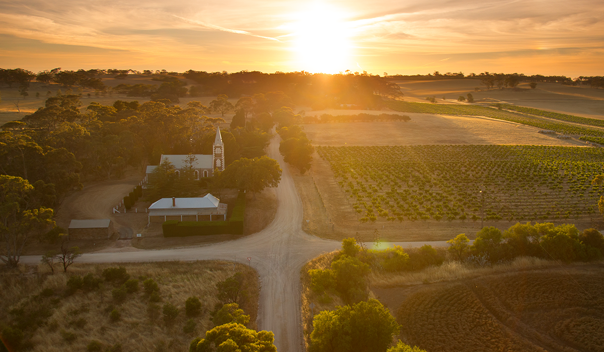 Hill of Grace vineyard