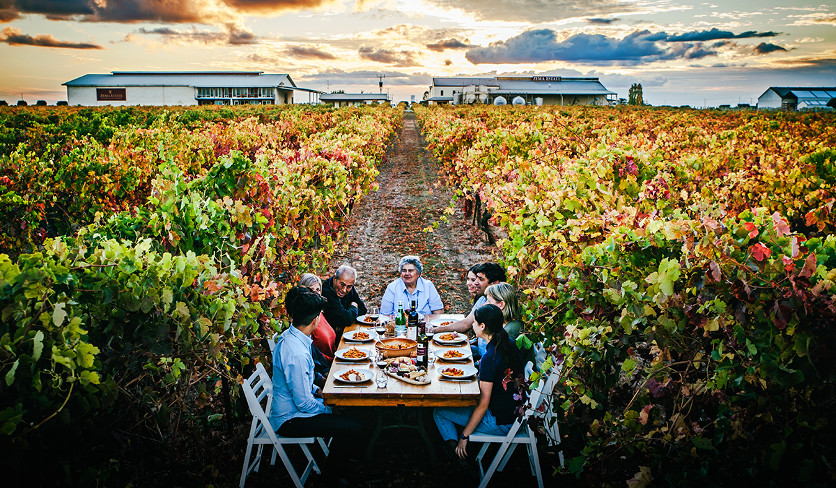 Zema family lunch among the vines.