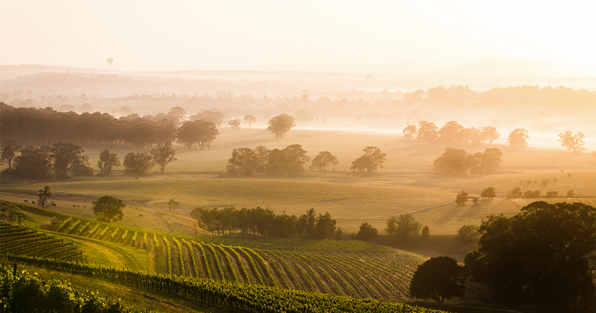 James on hot climate shiraz