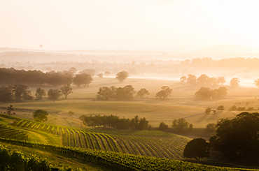 James on hot climate shiraz