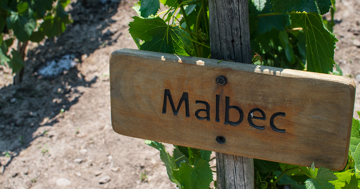 James Halliday on malbec