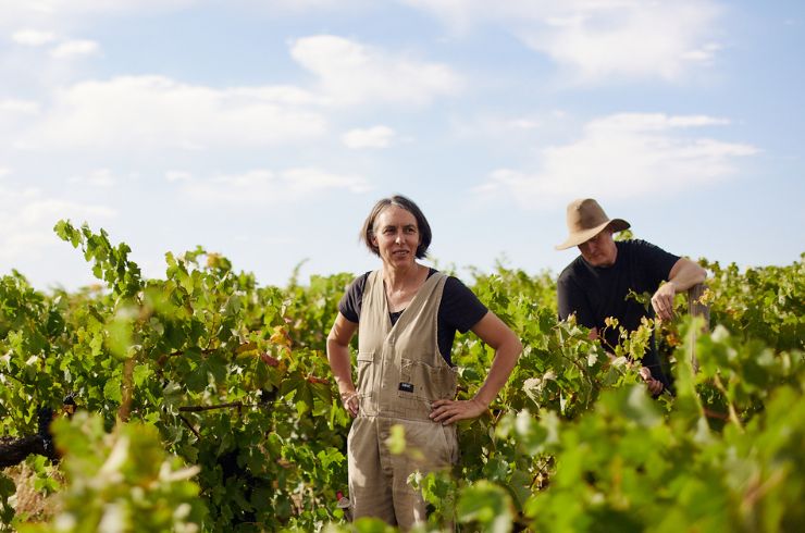 Jasper Hill new wines release