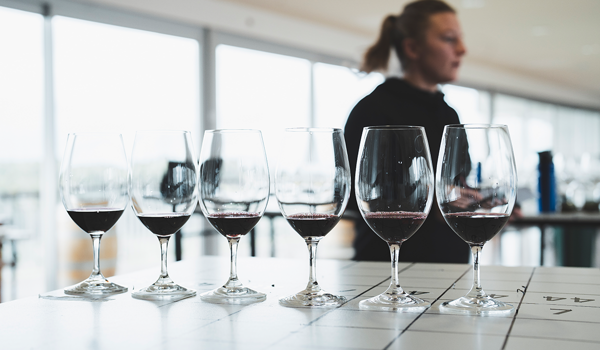 Glasses of cabernet lined up in a row