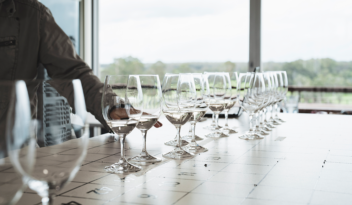 Glasses of chardonnay lined up in a row