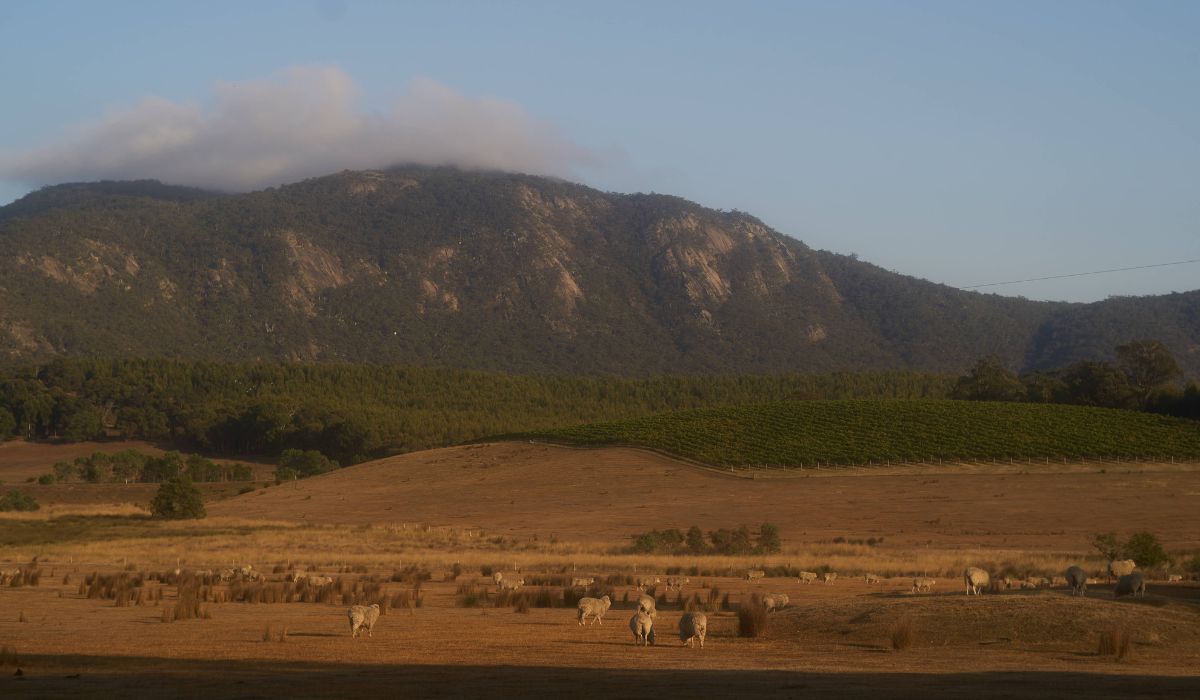 Langi winery in the grampians