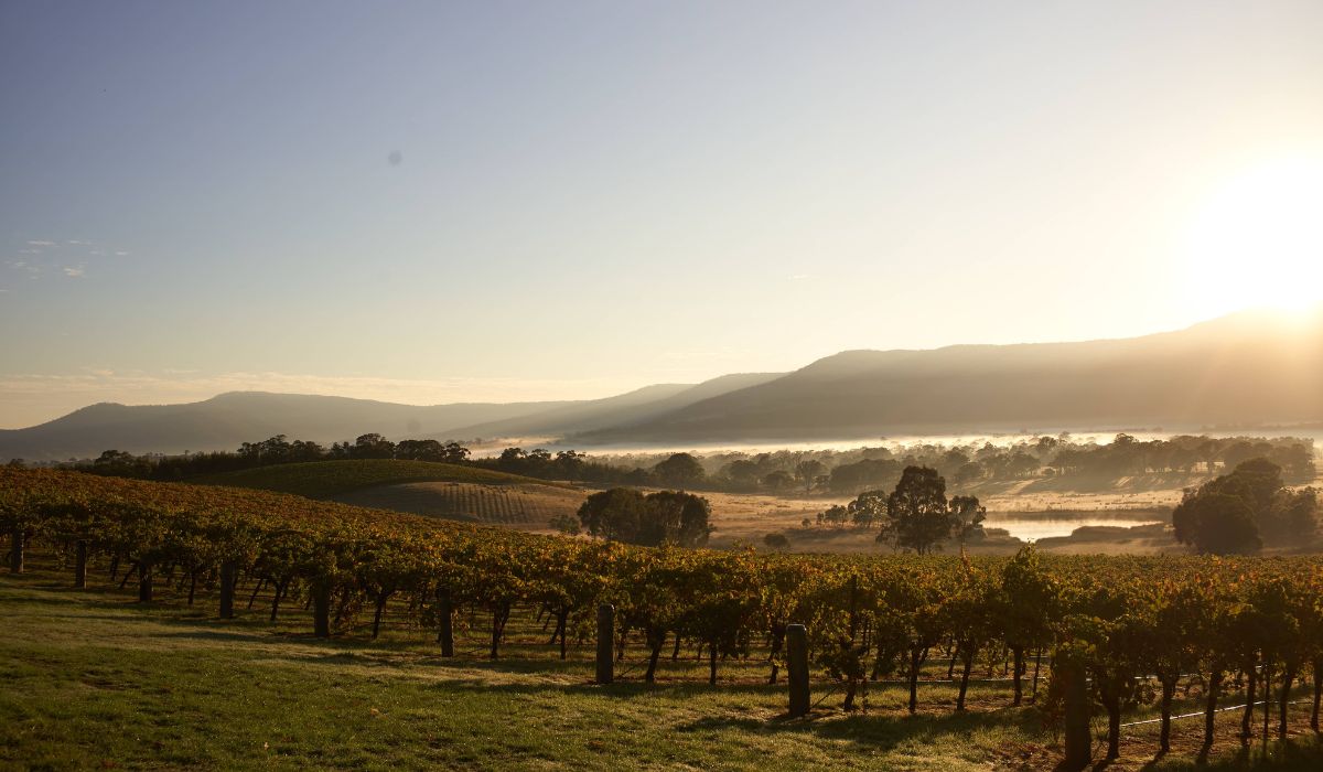Langi winery in the grampians