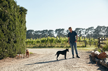 Kathleen Quealy wine