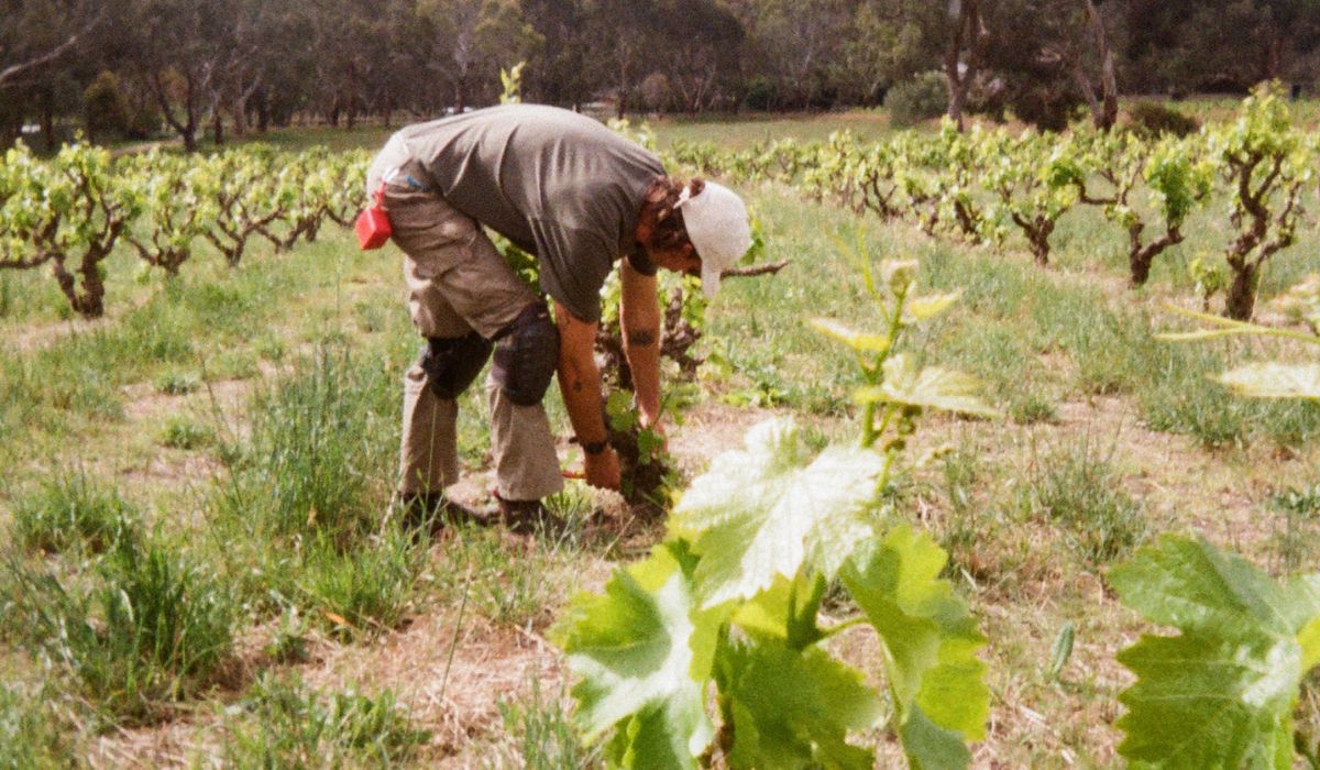 Cooper Davis-Draper, Oria-Riff