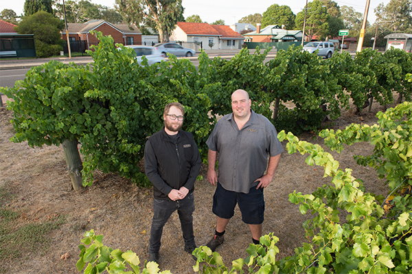 Patritti Winemakers