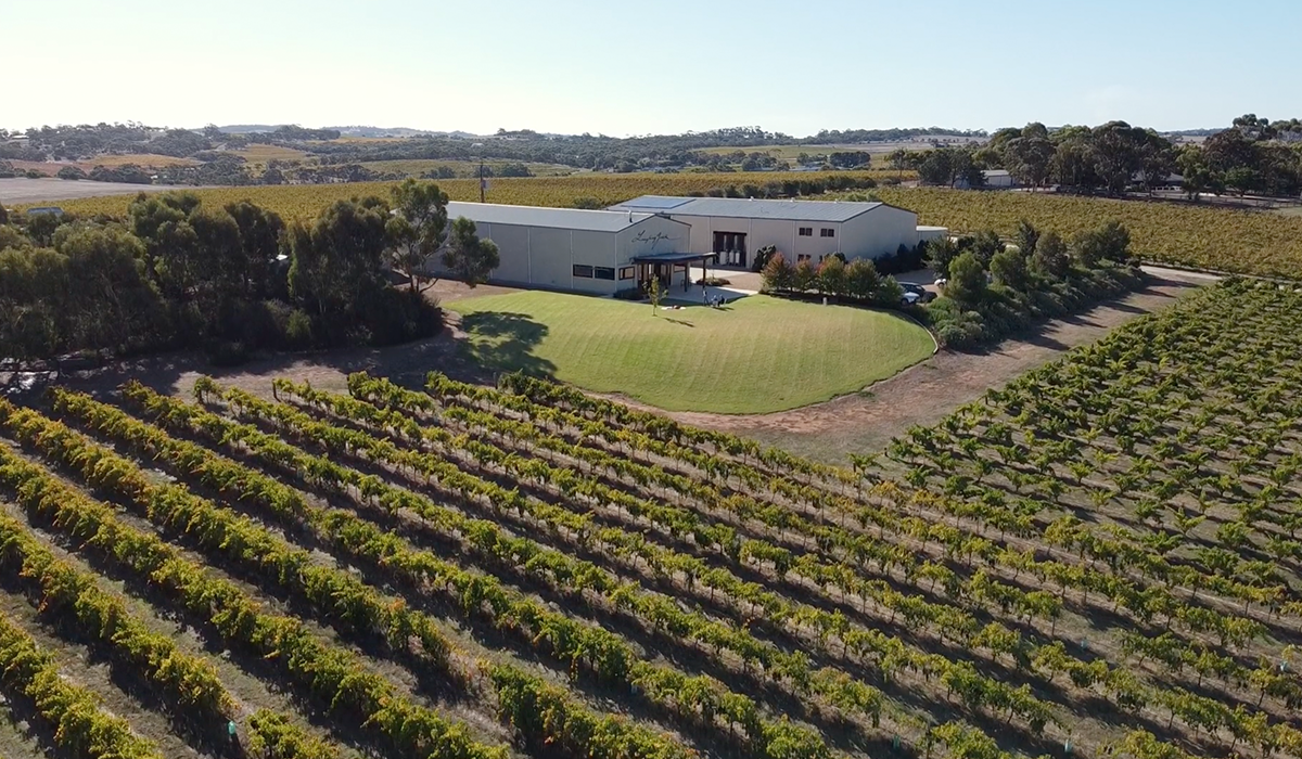 Laughing Jack vineyard and cellar door