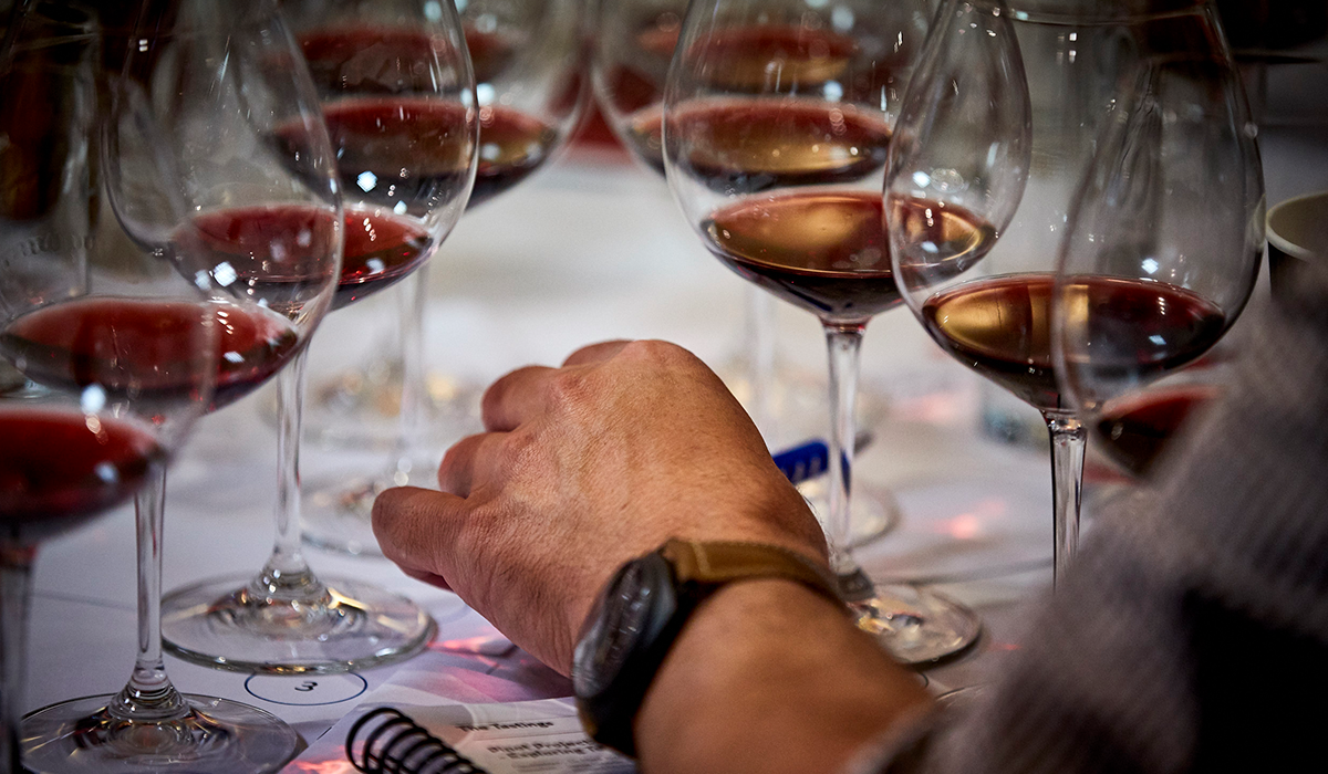 A pinot noir tasting