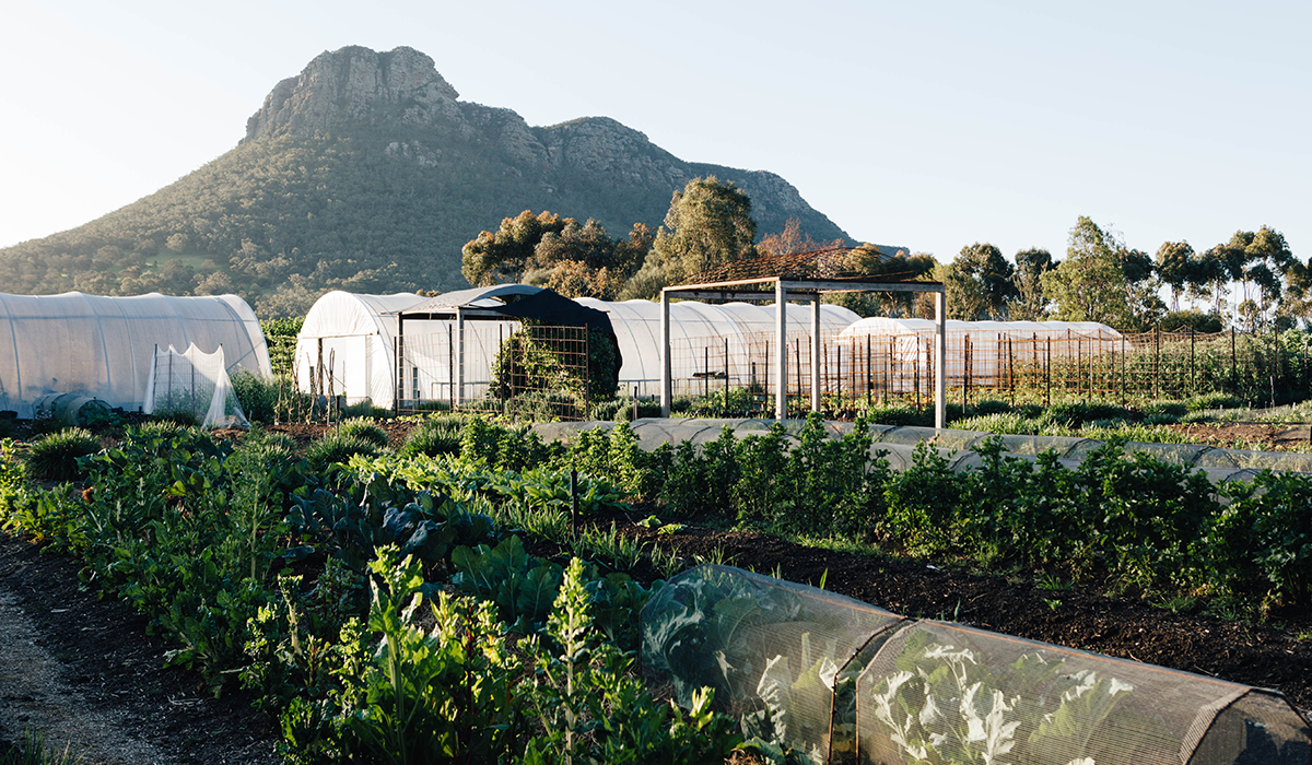 Wickens kitchen garden