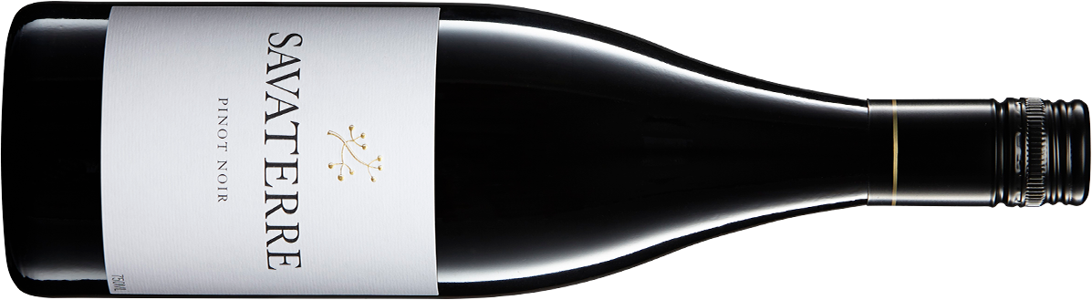 Savaterre pinot noir