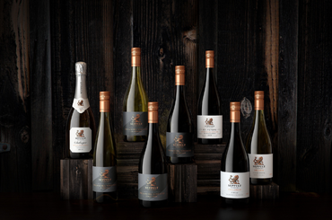 Eight wine bottles artfully presented