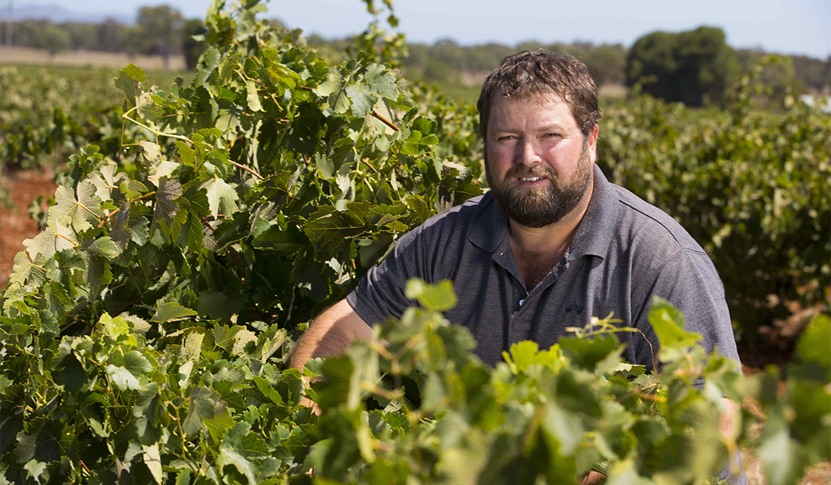 winemaker