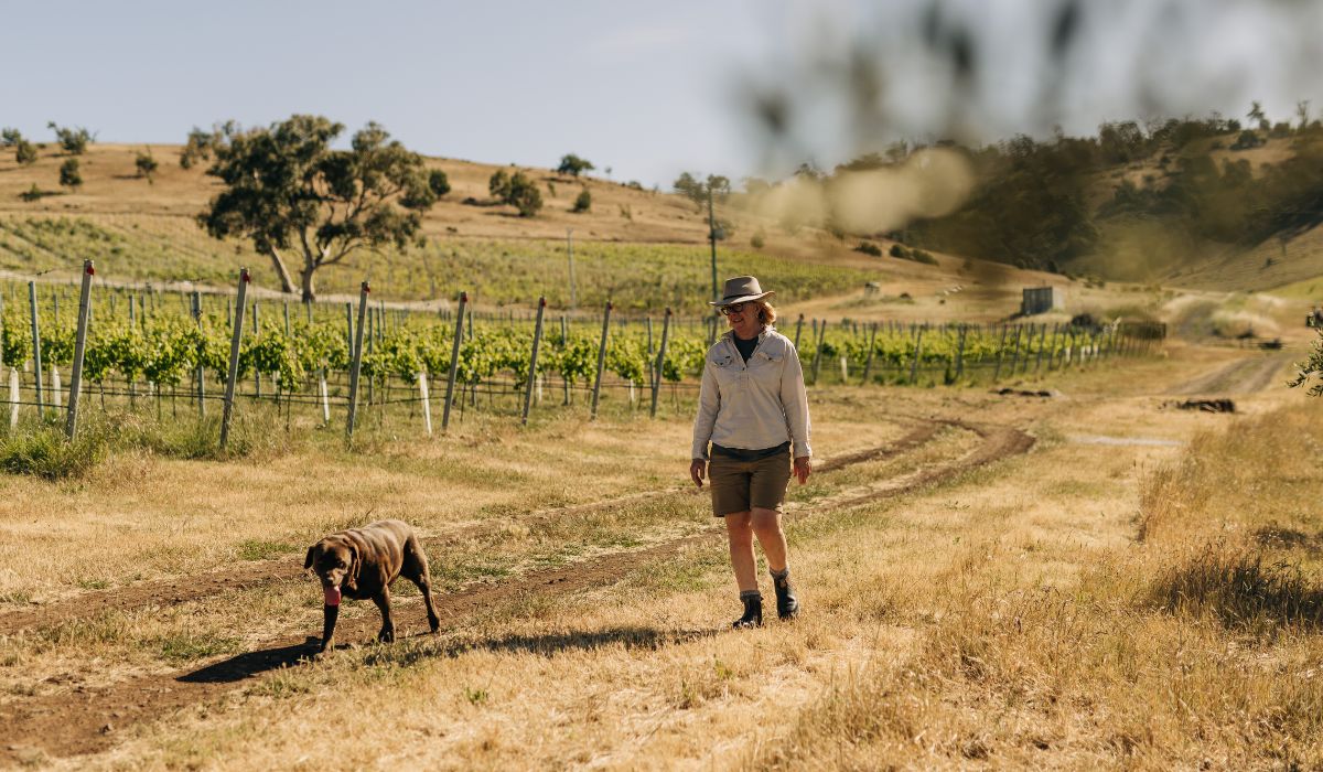 Stargazer winemaker Samantha Connew and her dog walk through her vineyard