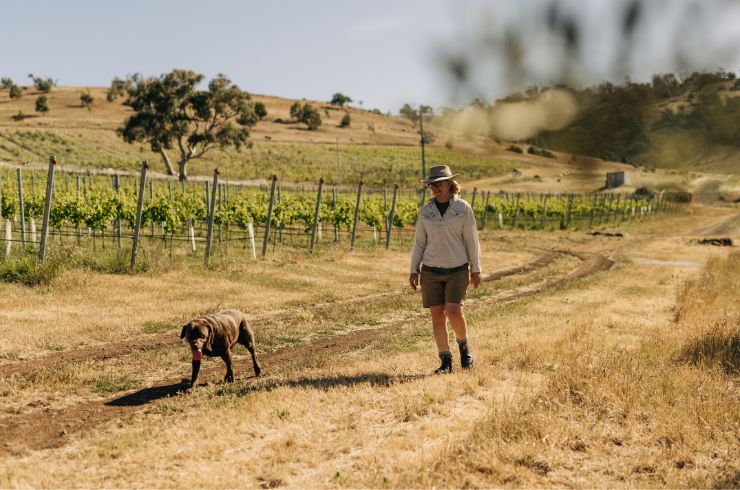 Stargazer winemaker Samantha Connew and her dog walk through her vineyard