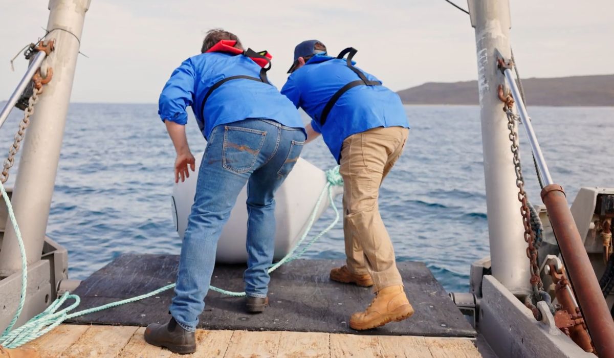 Hauling a wine vat out of the ocean