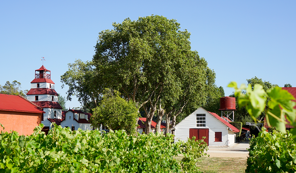 Tahbilk winery