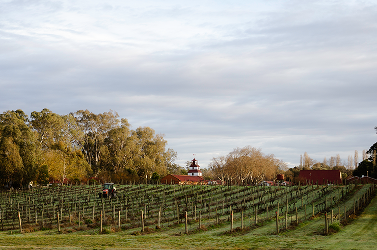 Tahbilk tower and vineyard