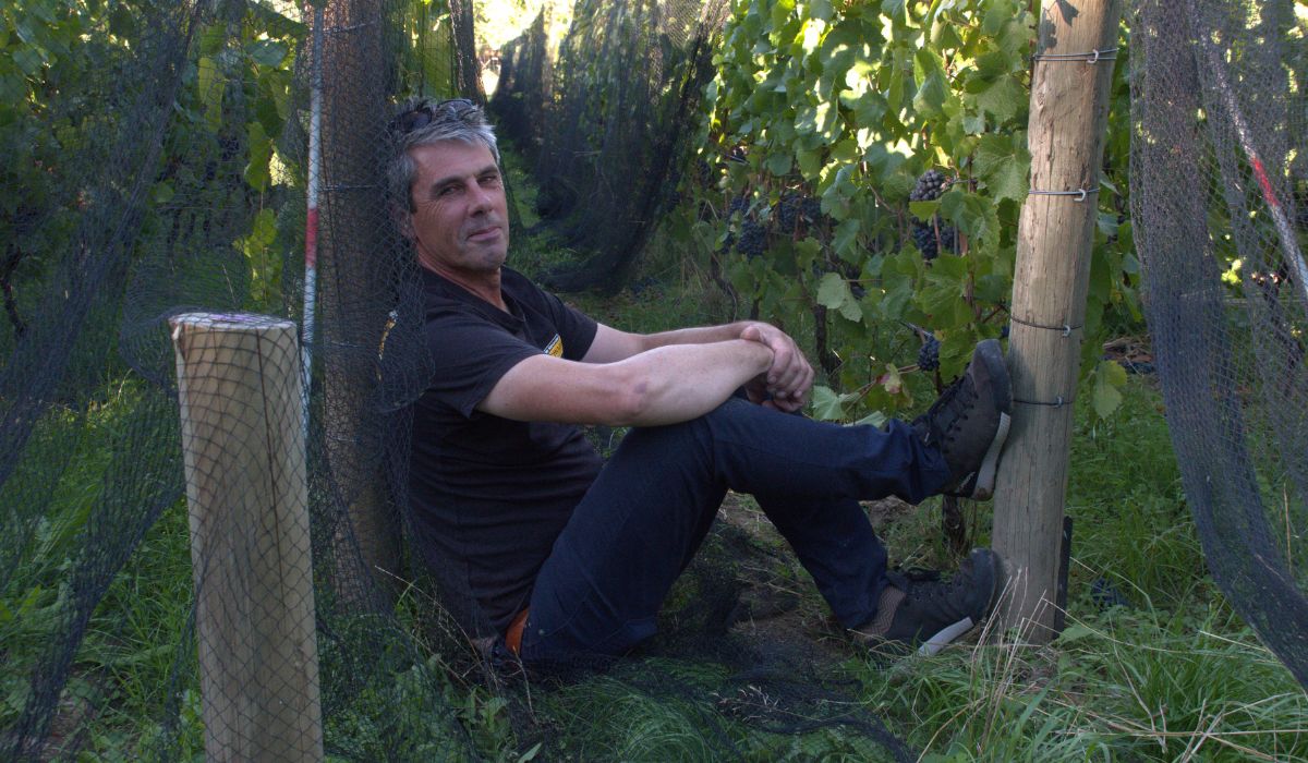 Viticulturist Tim Brown