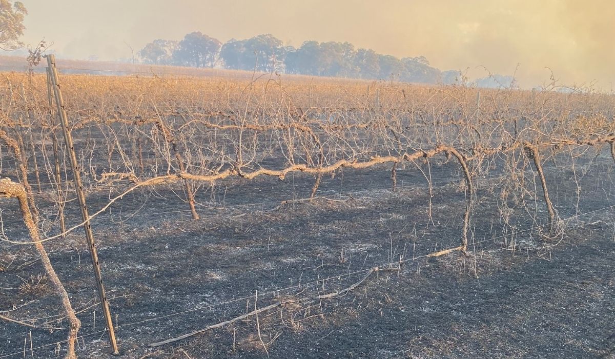 Elgo Estate after fire