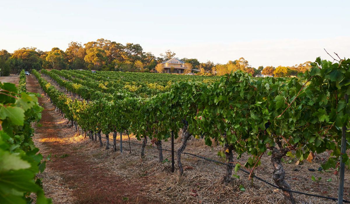 Wild Duck Creek Estate, Heathcote