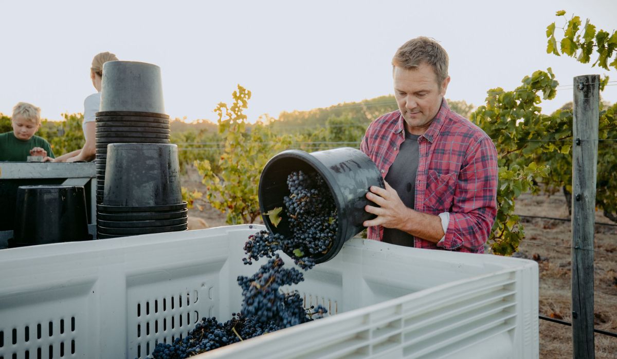 Travis Wray, House of Cards