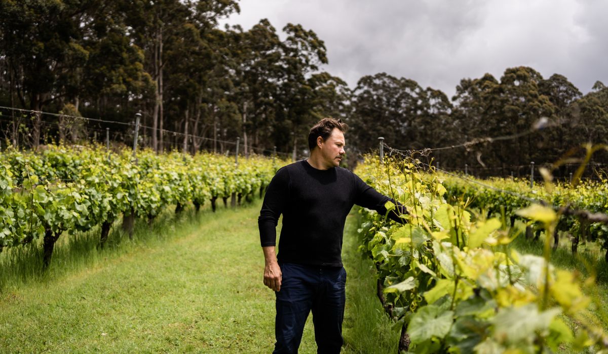 Paul Nelson, Paul Nelson Wines