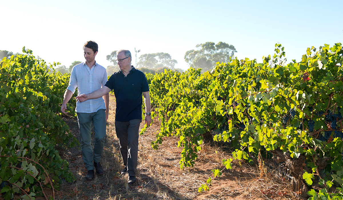 John and Tim Duval in vineyard