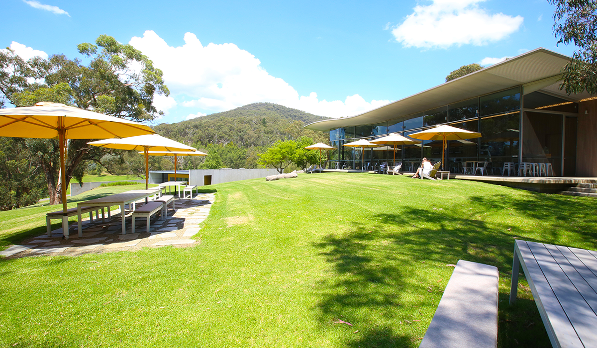 Medhurst cellar door lawn