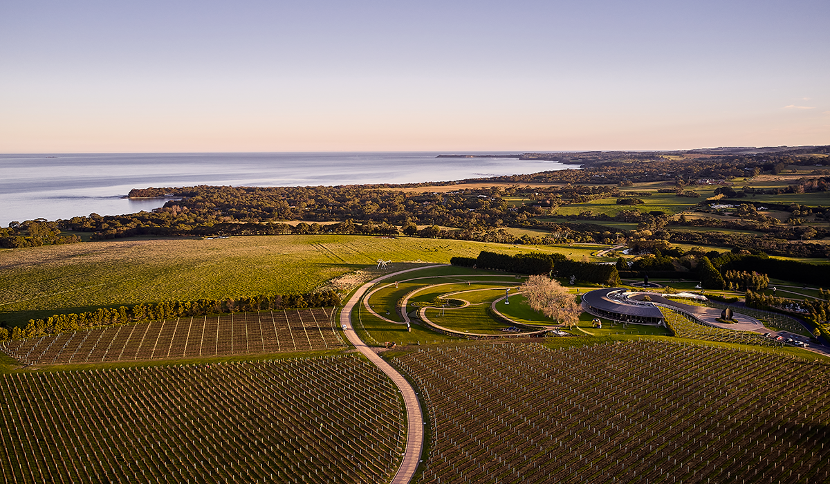 Drone view of Pt Leo Estate