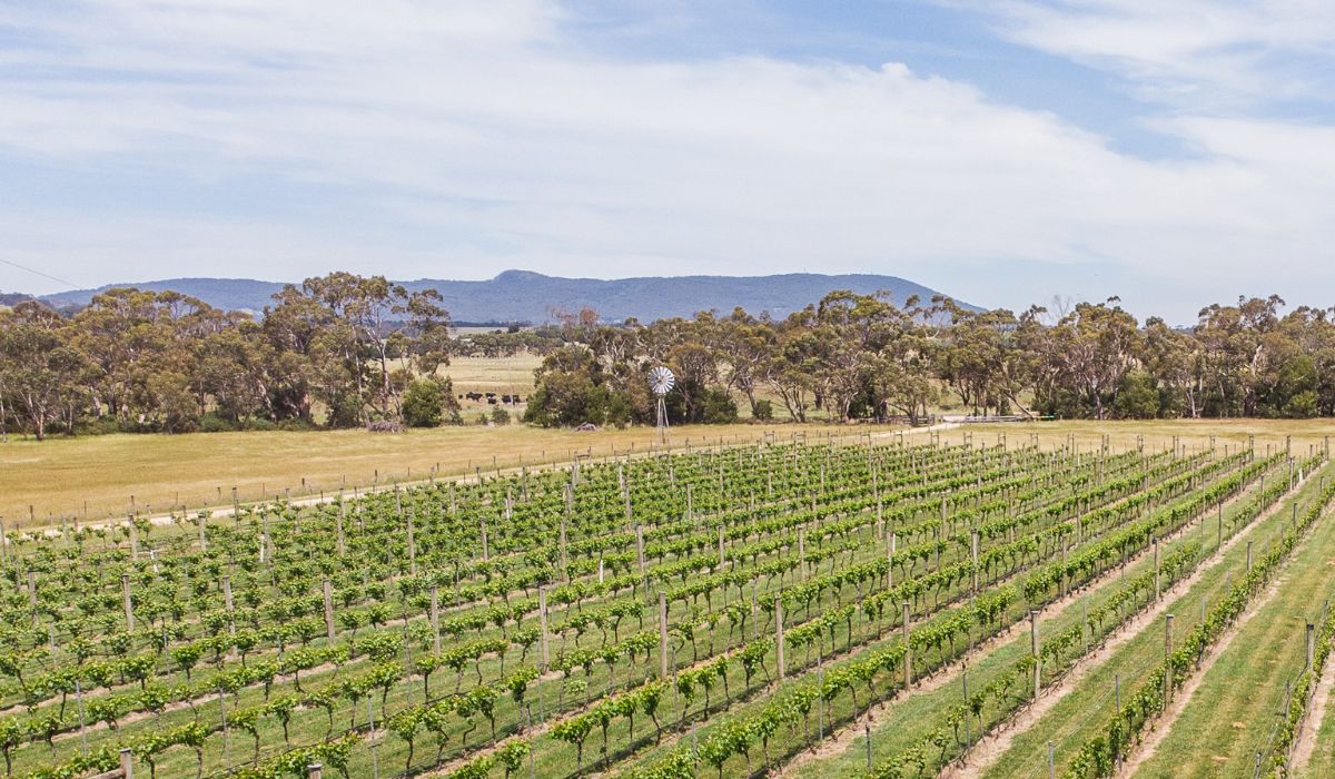 A view of Paramoor's winery in Victoria.