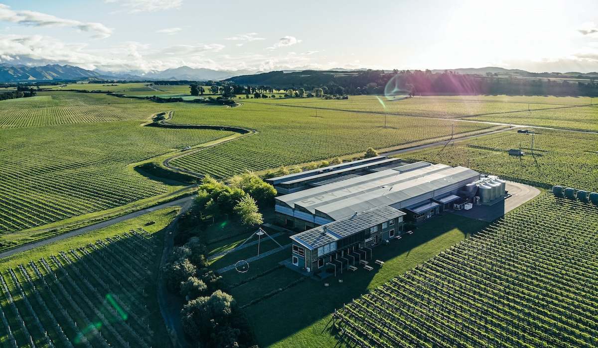 spy valley's vineyard from above