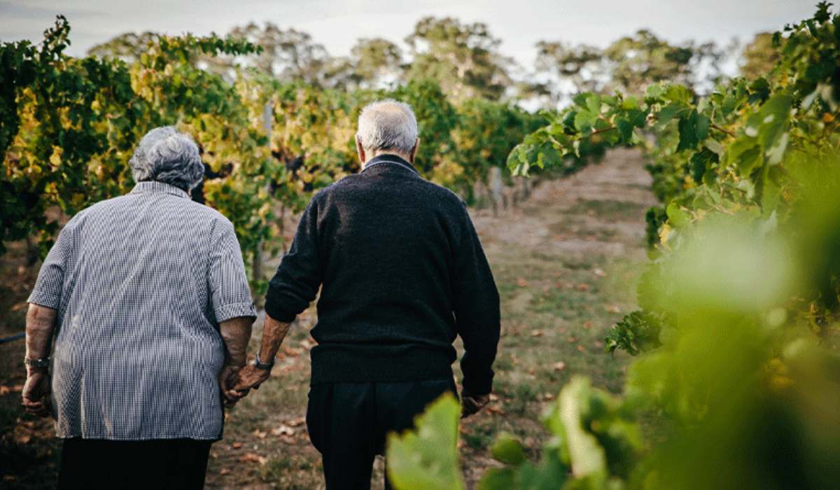 Two people walking through Zema winery vineyard