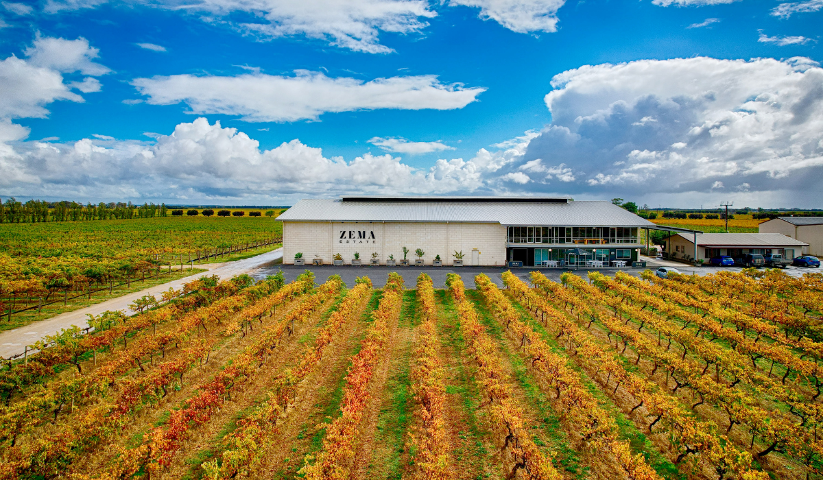 Zema Estate vineyard