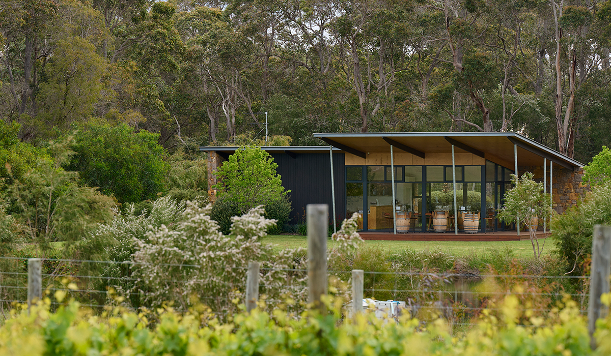 Passel winery seen behind vineyard