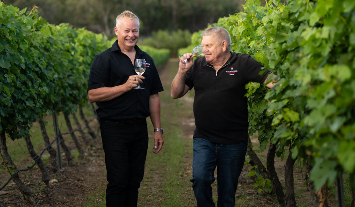 Balancing Heart winemakers in vineyard