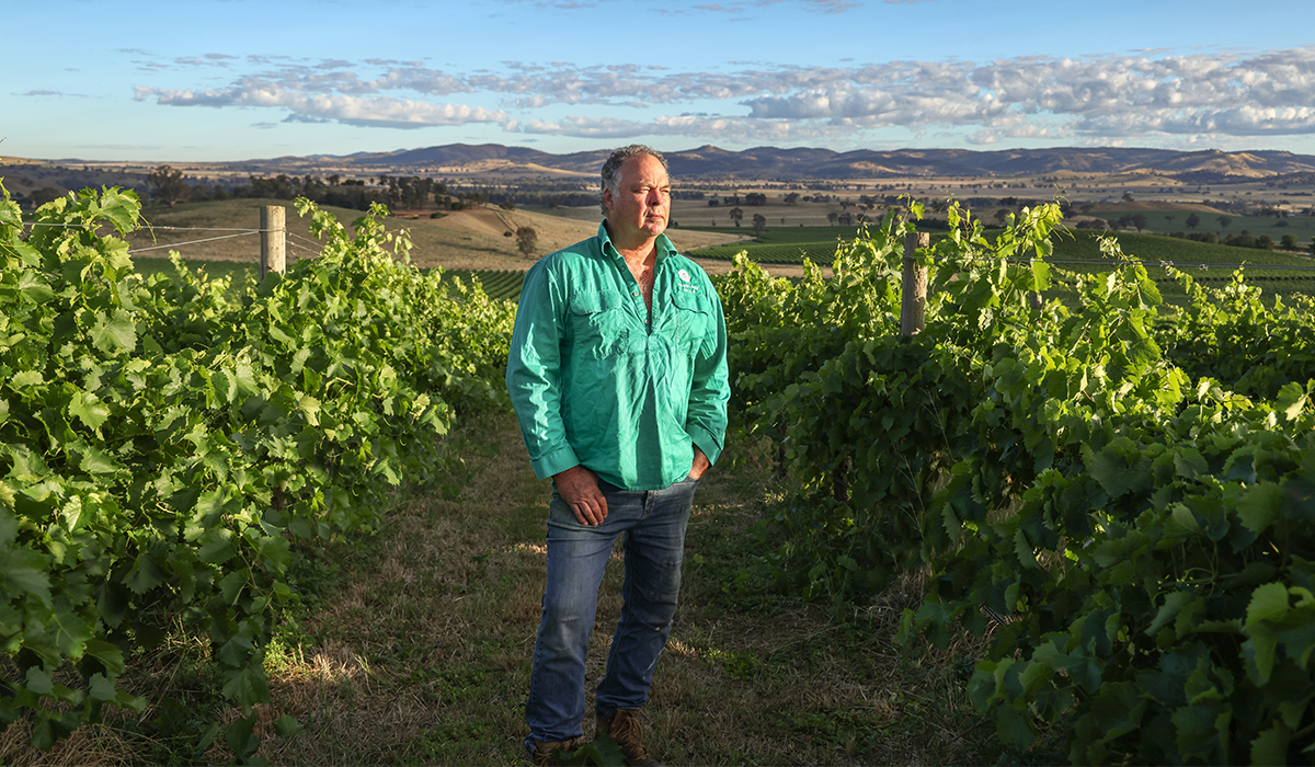 Tumblong winemaker in vineyard